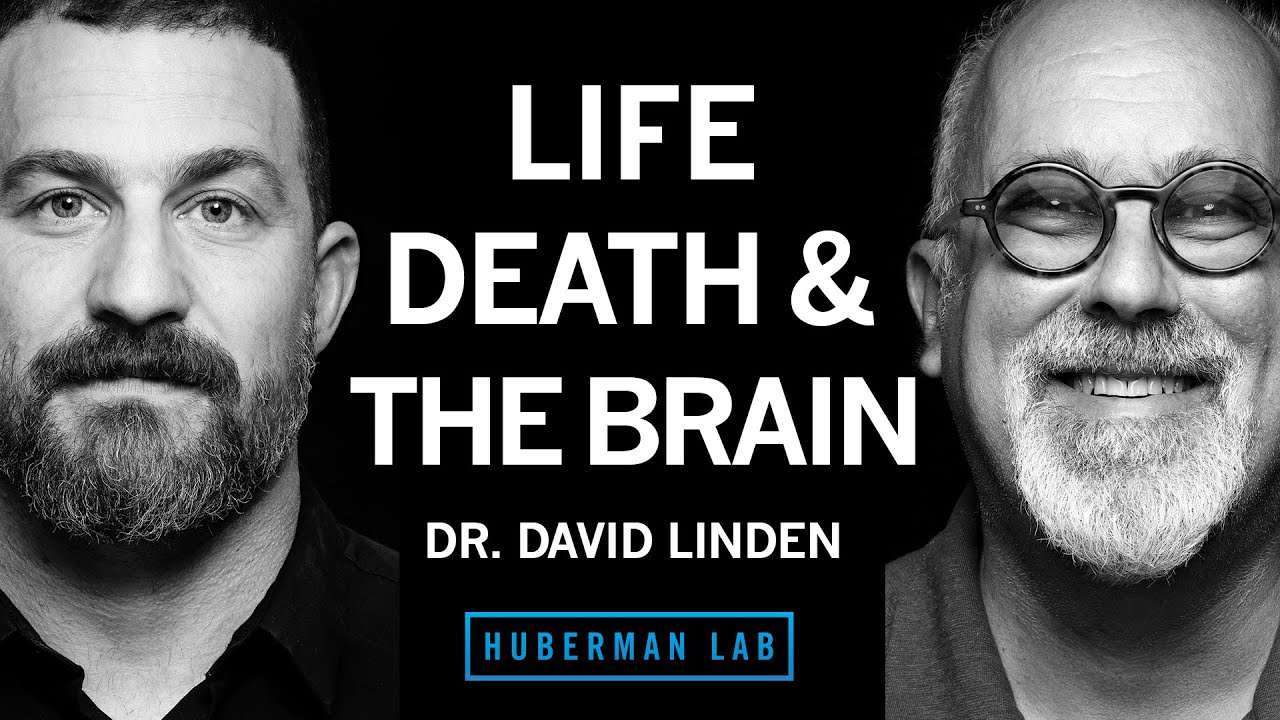 Life, Death & the Neuroscience of Your Unique Experience | Dr. David Linden