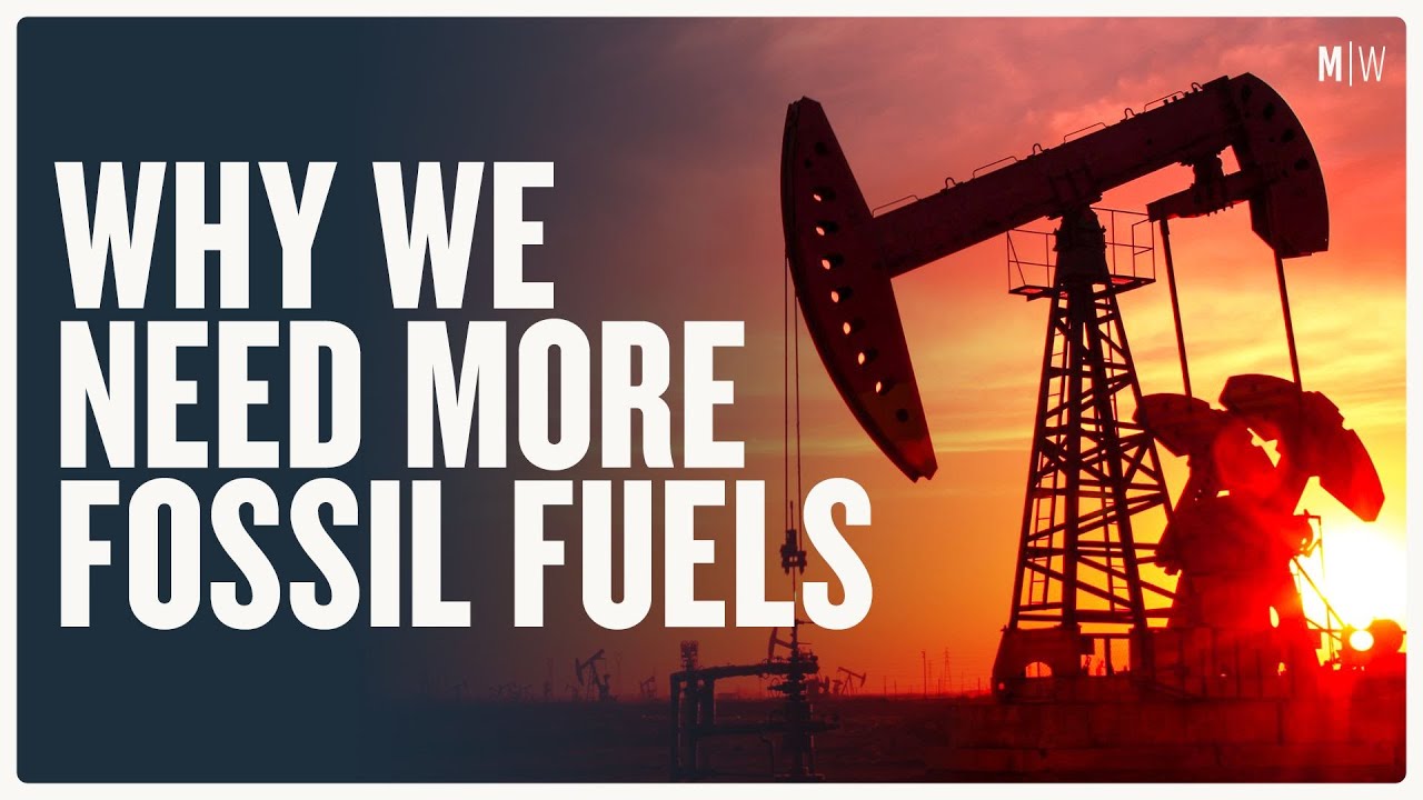 Can Fossil Fuels Save The World? - Alex Epstein | Modern Wisdom Podcast 324