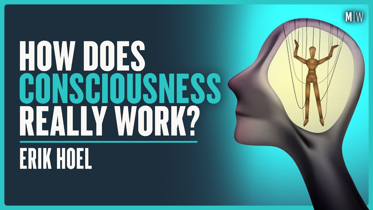 A Guide To The Fundamental Mystery Of The Mind - Erik Hoel
