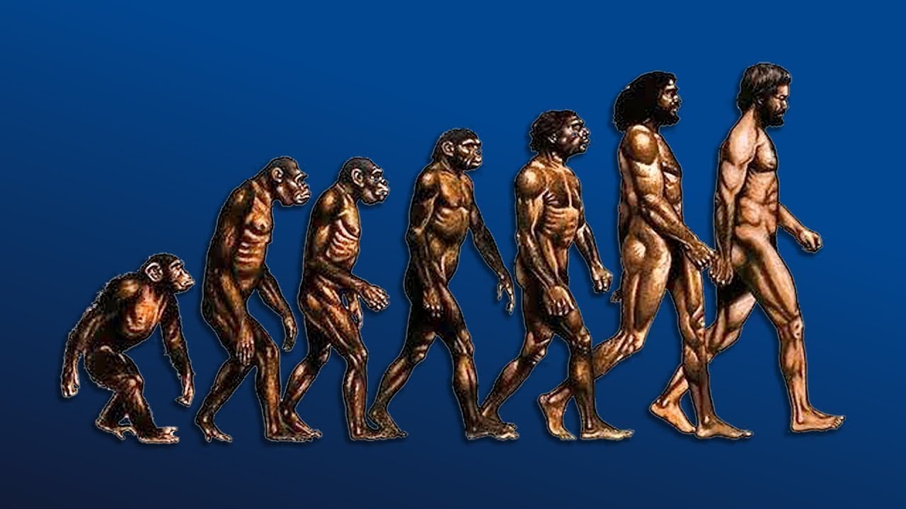 William Von Hippel - How We Evolved