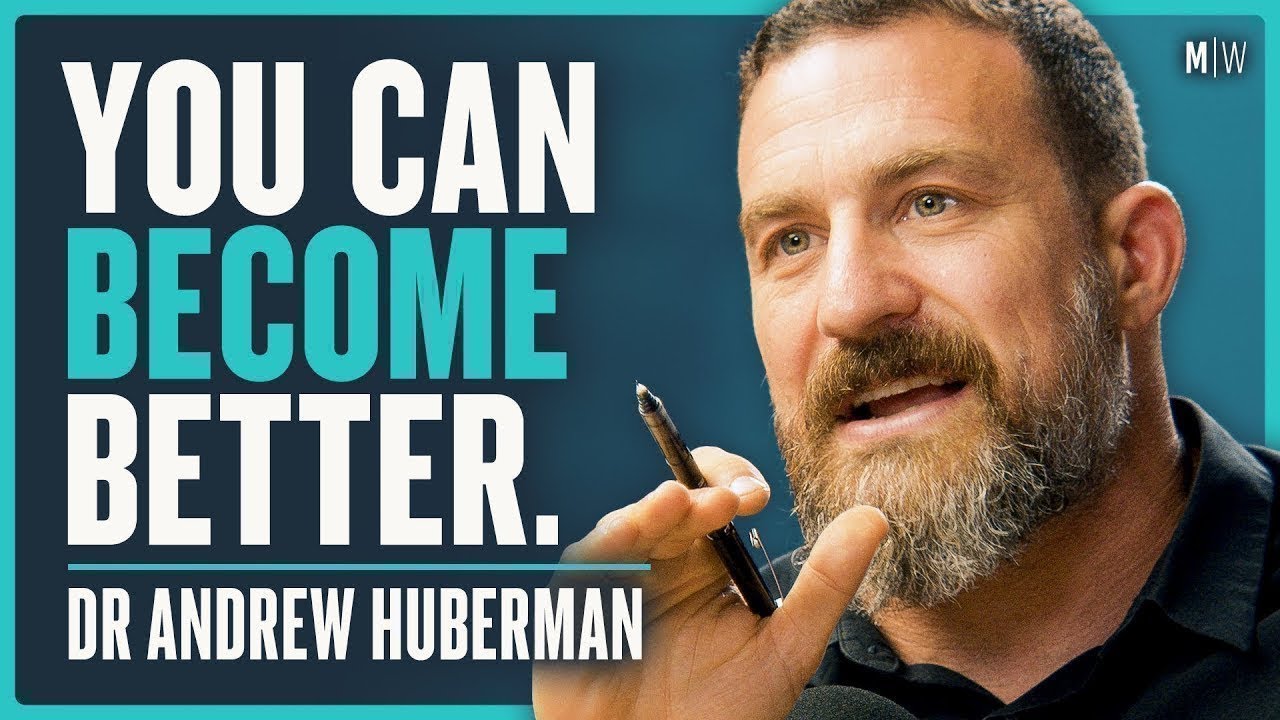 Understanding Stress, Willpower & Discipline - Dr Andrew Huberman (4K)