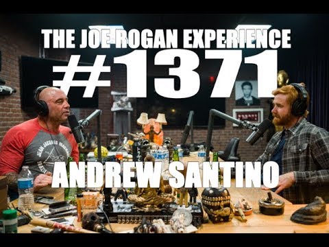 Joe Rogan Experience #1371 - Andrew Santino