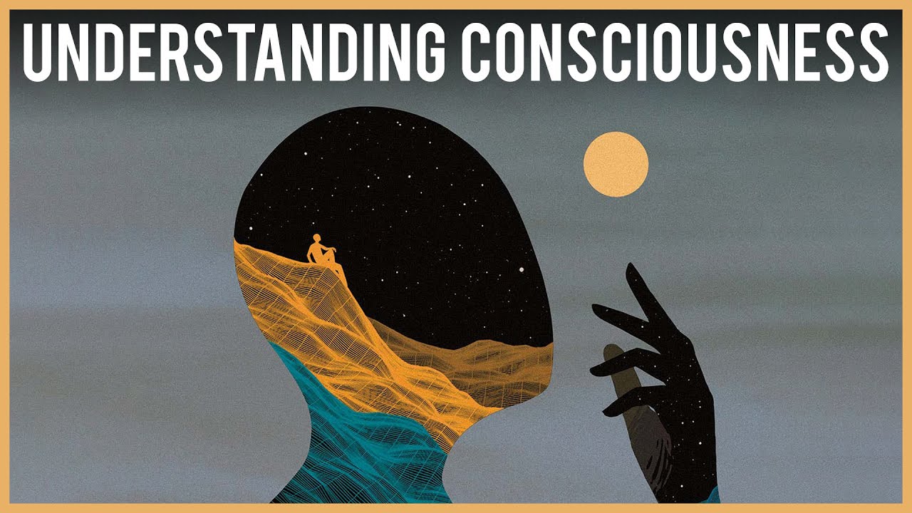 What Is Consciousness? - Philip Goff | Modern Wisdom Podcast #272