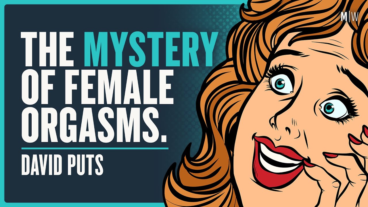 What Use Is The Female Orgasm? - David Puts