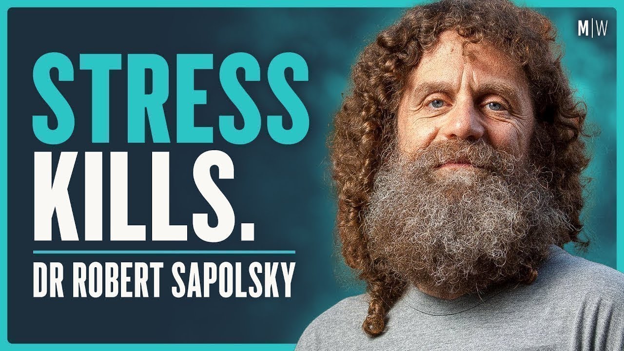What Chronic Stress Does To Your Body - Dr Robert Sapolsky