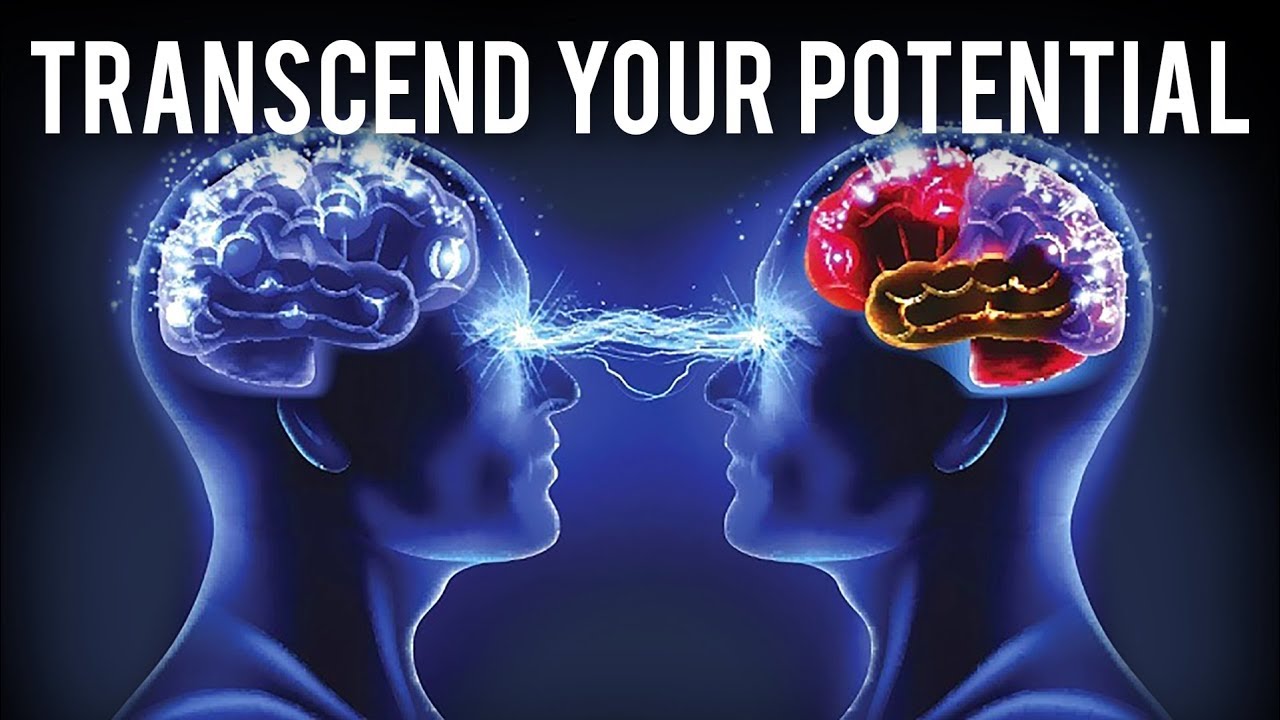 The New Science Of Self Actualisation | Scott Barry Kaufman | Modern Wisdom Podcast 156