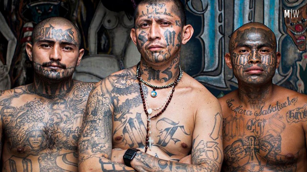 MS-13: America's Most Notorious Gang - Steven Dudley | Modern Wisdom Podcast 316