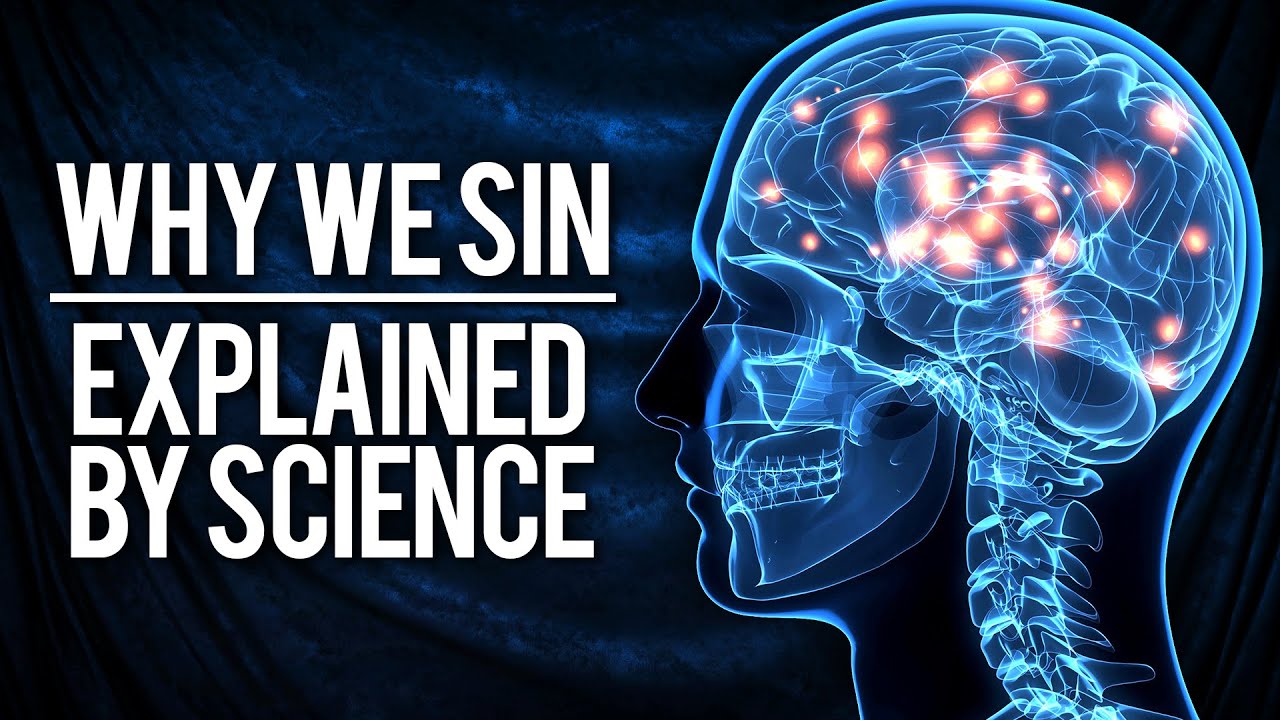 The Neuroscience Of The 7 Deadly Sins | Dr Jack Lewis | Modern Wisdom Podcast 182