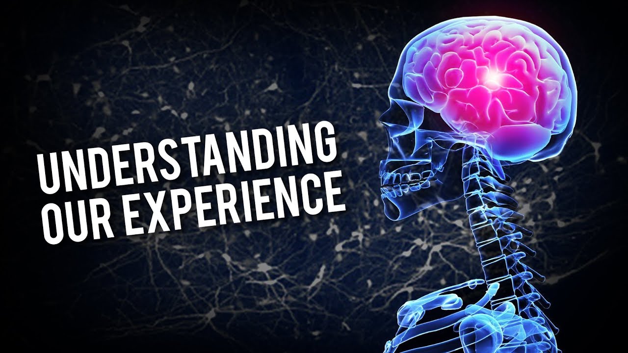 Considering Consciousness | Dr Heather Berlin | Modern Wisdom Podcast 146