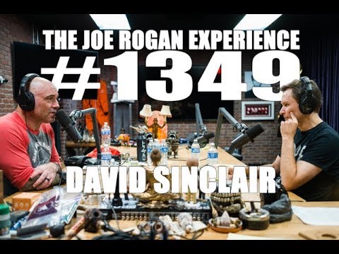 Joe Rogan Experience #1349 - David Sinclair
