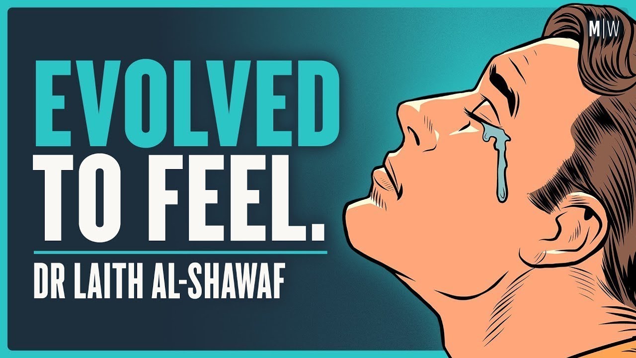 The Origins Of Human Emotions And Their Purpose  - Dr Laith Al-Shawaf