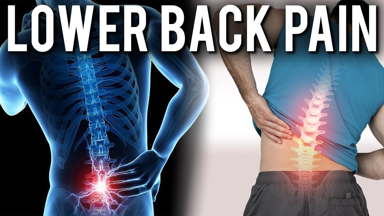 Why Do Our Backs Hurt? | Dr Stuart McGill