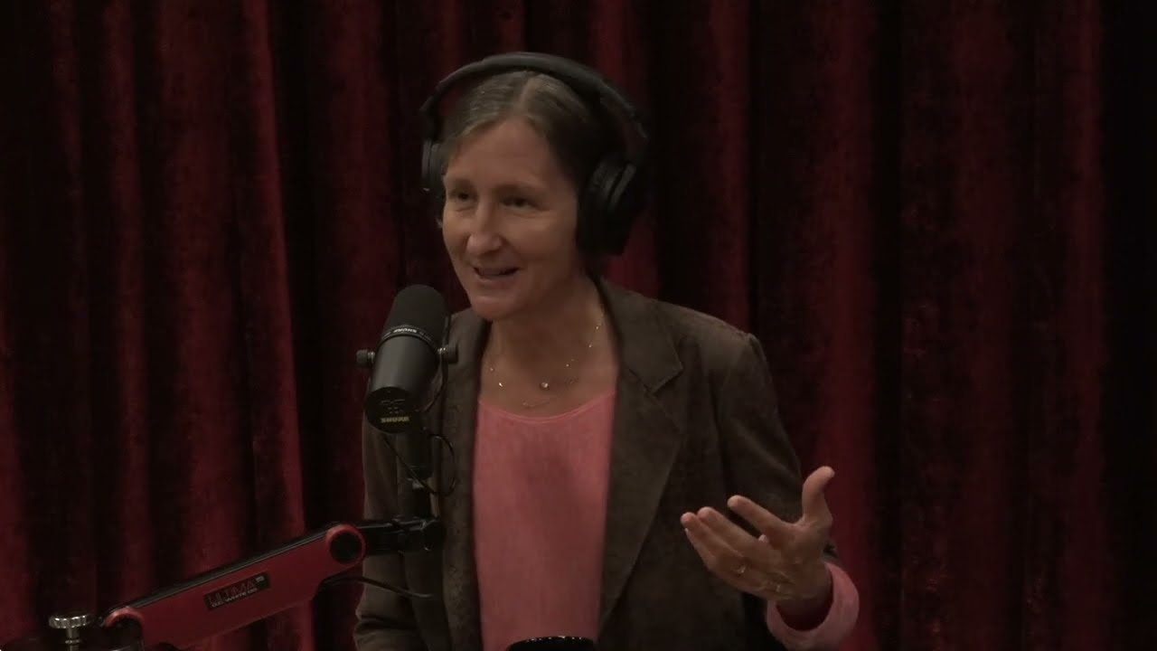 Joe Rogan Experience #1708 - Anne Lembke