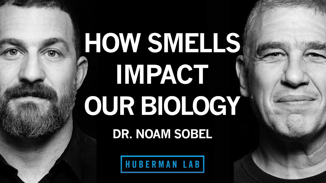 How Smells Influence Our Hormones, Health & Behavior | Dr. Noam Sobel