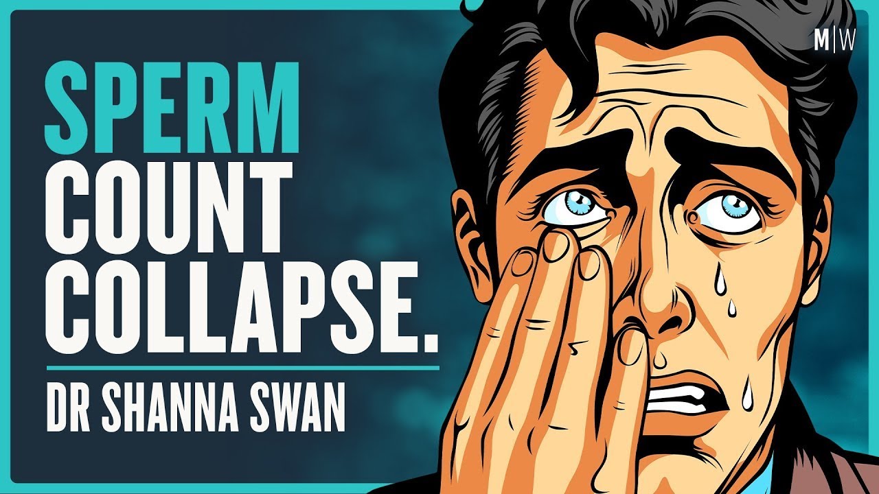 Why Men’s Testosterone Levels Are Plummeting - Dr Shanna Swan
