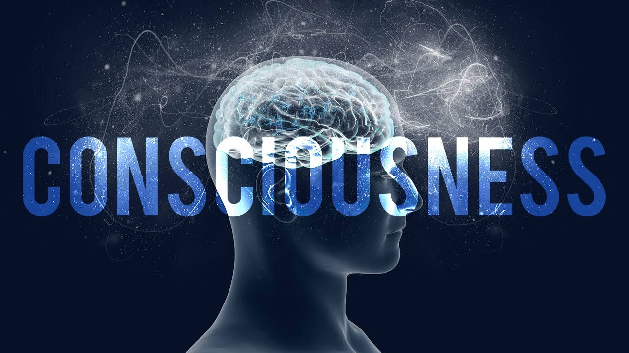 Why Should I Explore My Own Consciousness? | Jeff Warren