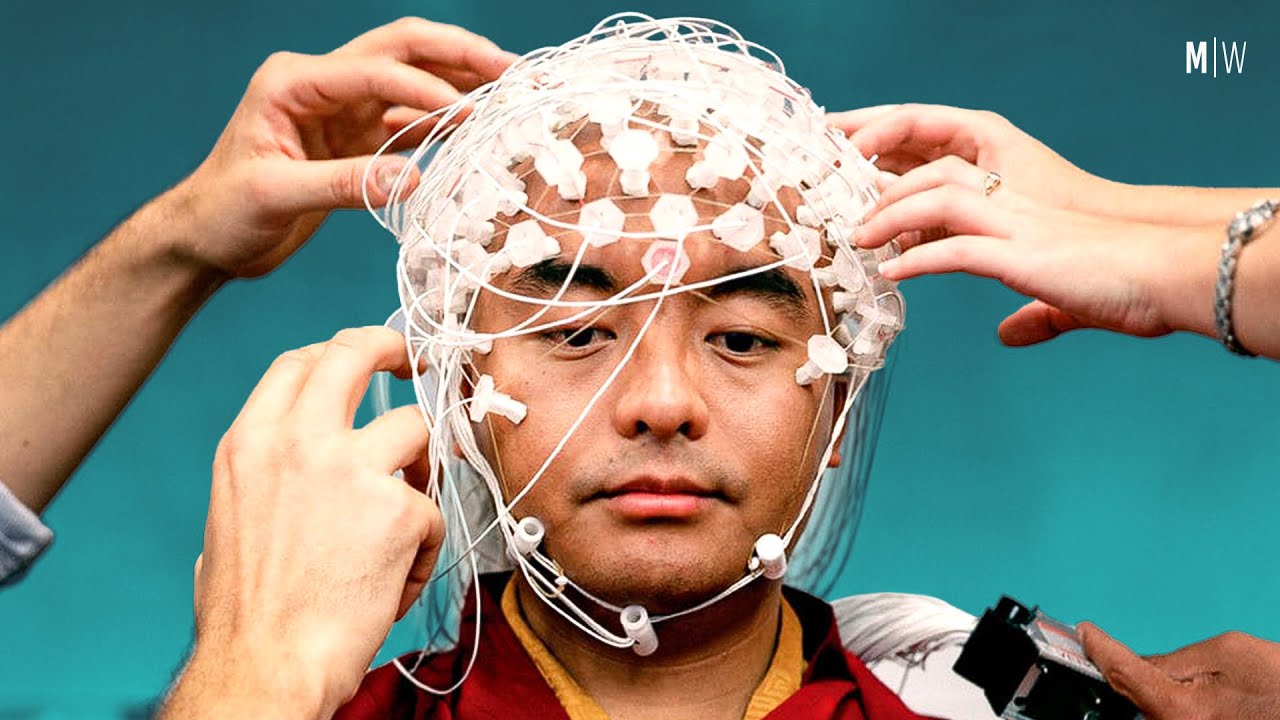 The Neuroscience Of Meditation - Steven Laureys | Modern Wisdom Podcast 318