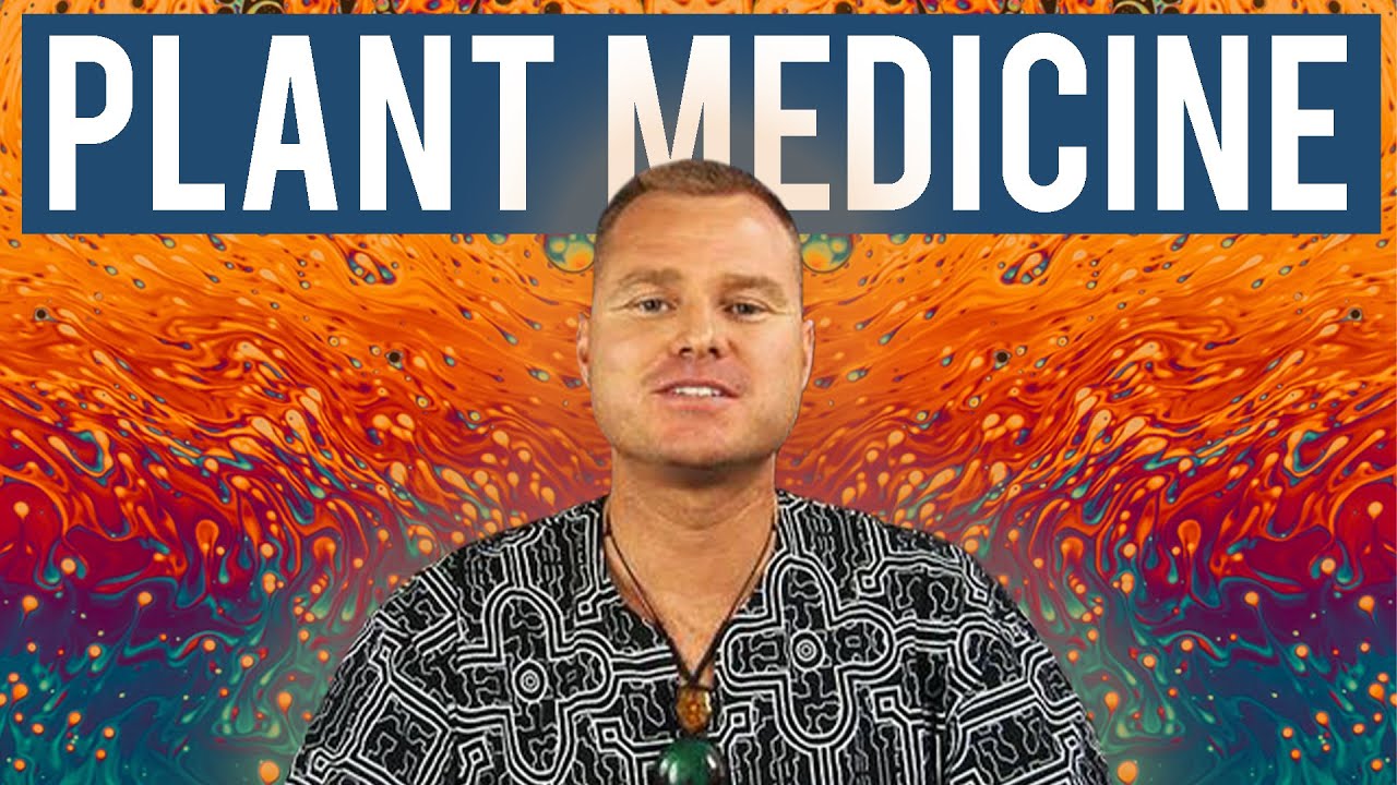 A Master Shaman's Guide To Ayahuasca - Hamilton Souther | Modern Wisdom Podcast 247