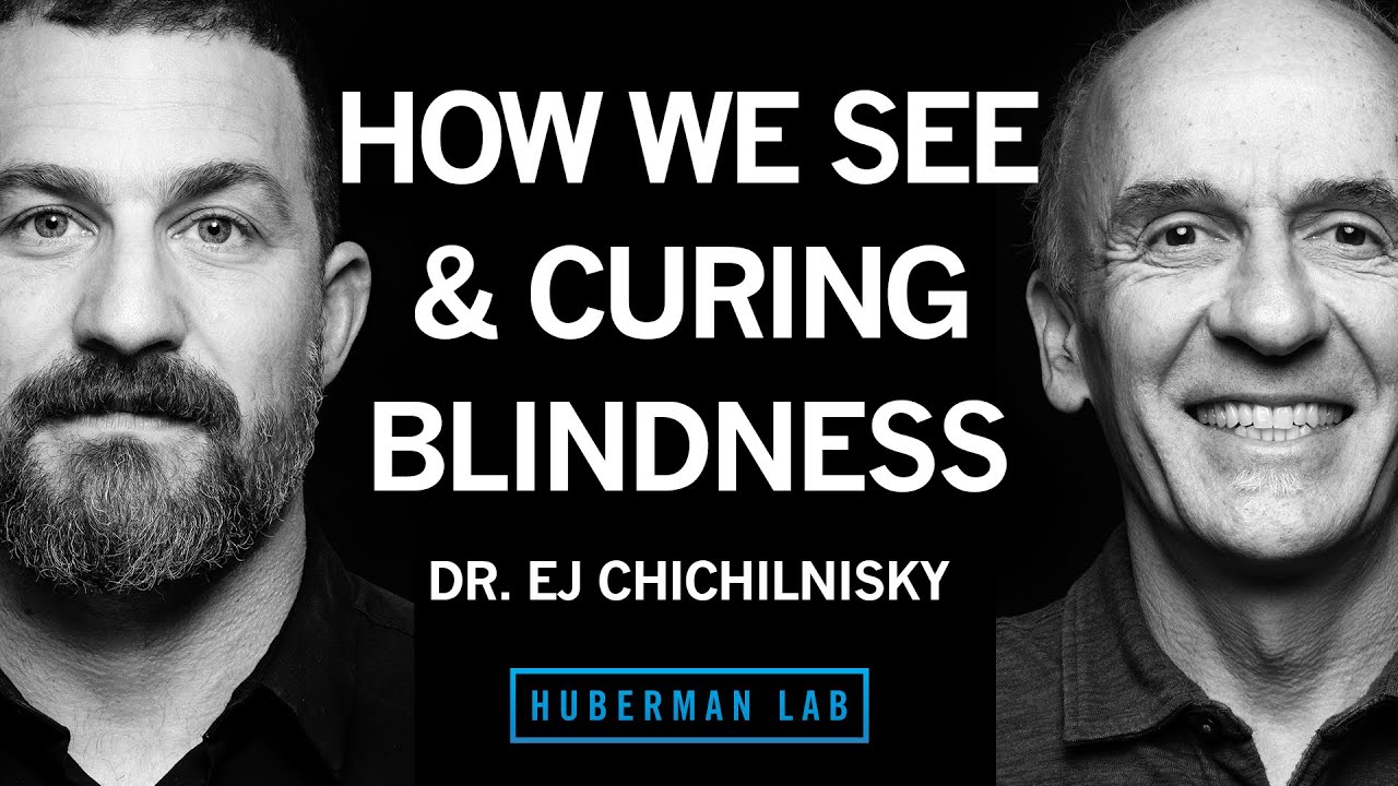 How the Brain Works, Curing Blindness & How to Navigate a Career Path | Dr. E.J. Chichilnisky