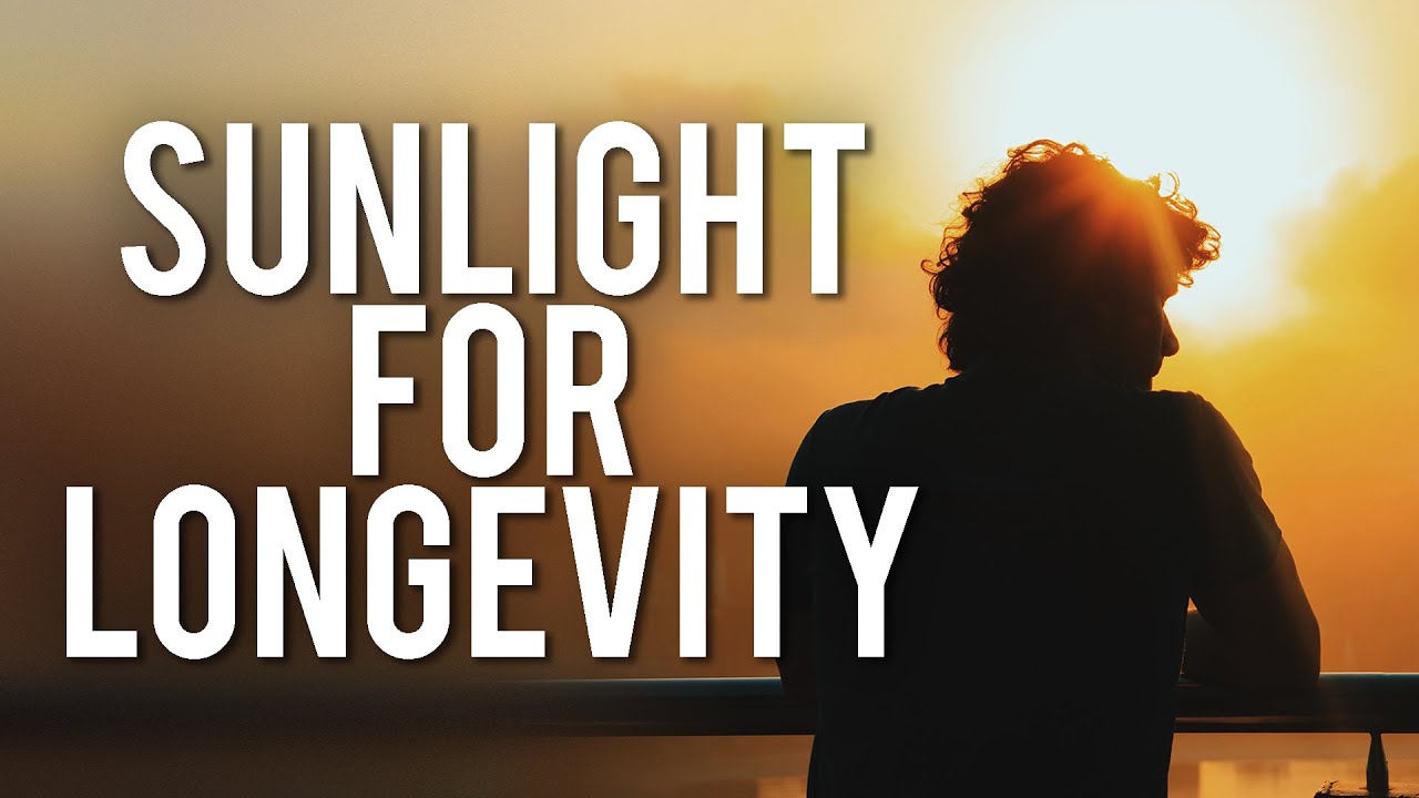 How To Use Light To Optimise Your Health & Happiness | Matt Maruca | Modern Wisdom Podcast 203