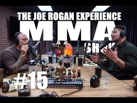 JRE MMA Show #15 with Brendan Schaub