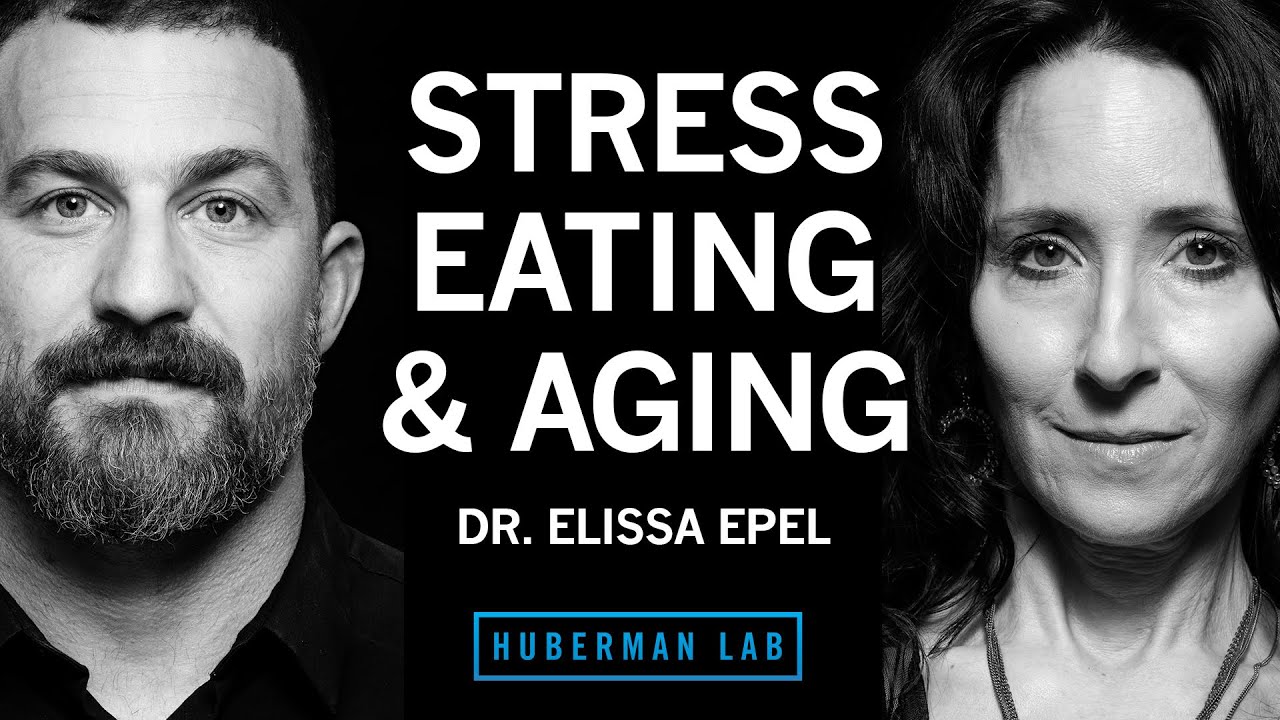 Control Stress for Healthy Eating, Metabolism & Aging | Dr. Elissa Epel