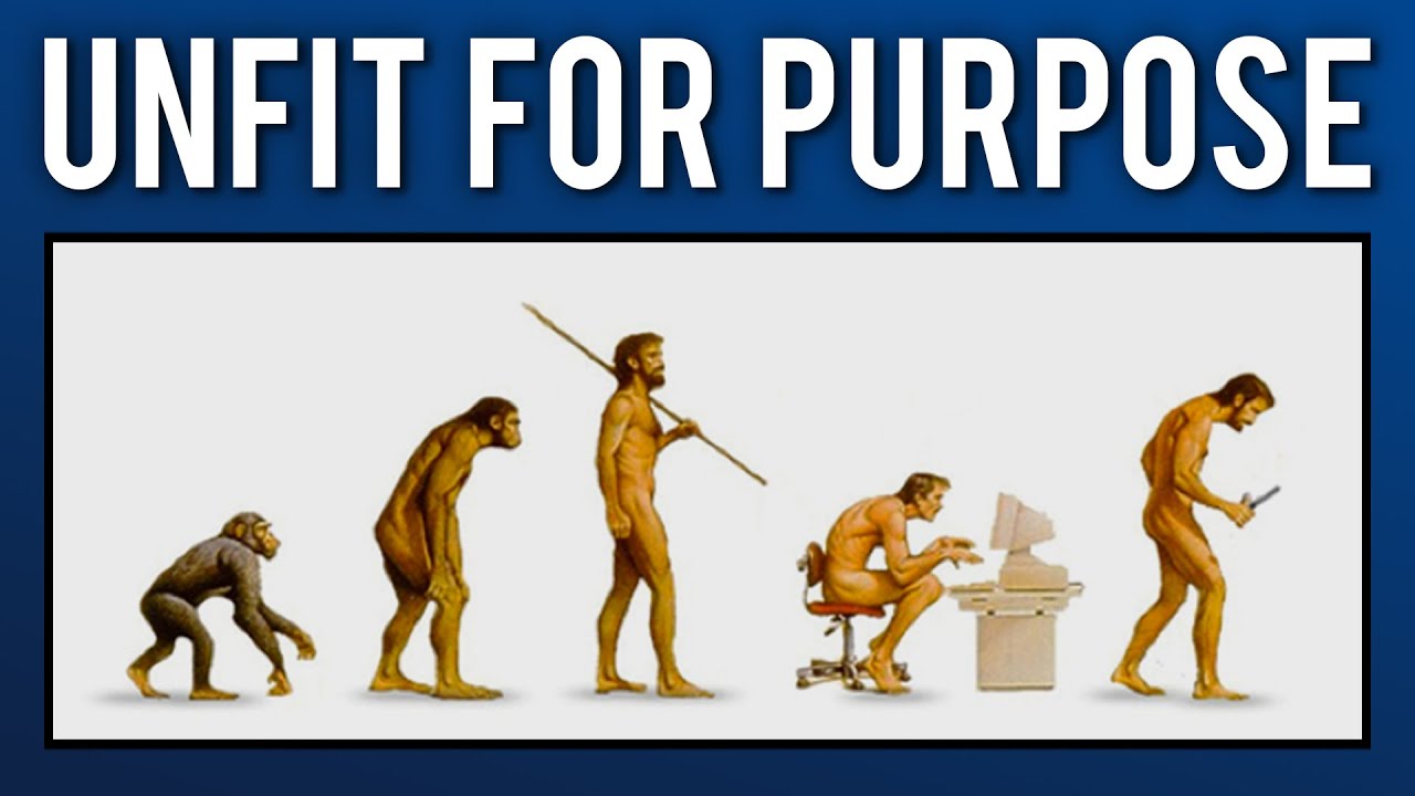 When Human Evolution Collides With The Modern World | Prof. Adam Hart | Modern Wisdom Podcast 192
